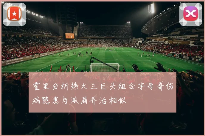 霍里分析热火三巨头组合字母哥伤病隐患与浓眉乔治相似