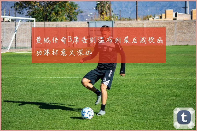 曼城传奇B席告别温布利最后战役成功捧杯意义深远